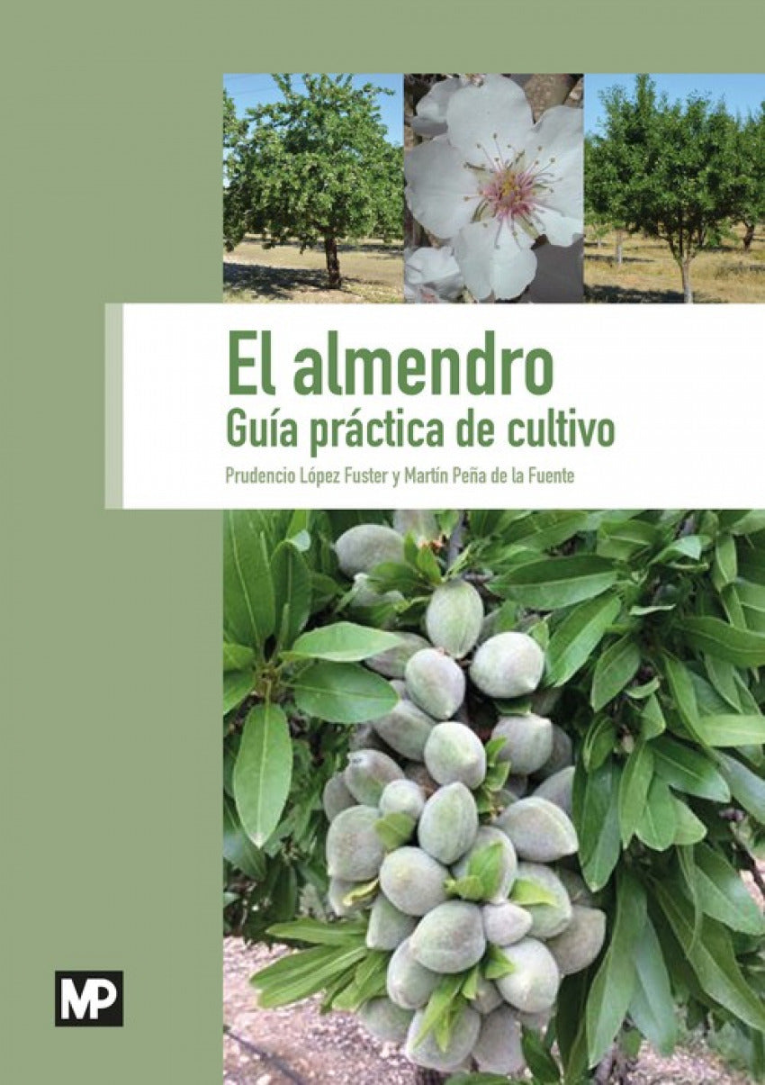 ✅ EL ALMENDRO - 9788484767473