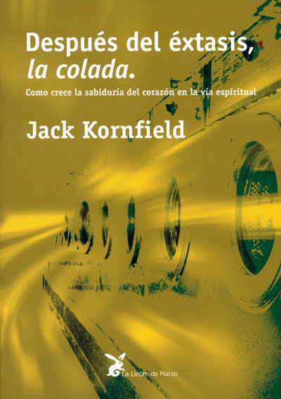 DESPUES DEL EXTASIS LA COLADA - 9788487403569 Imagen principal del producto