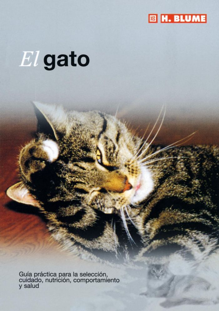GATOEL - 9788489840775 Imagen principal del producto