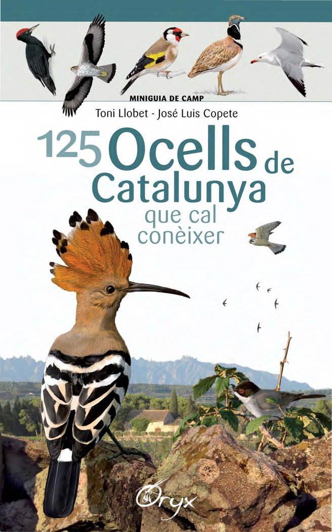 125 OCELLS DE CATALUNYA - 9788490346747