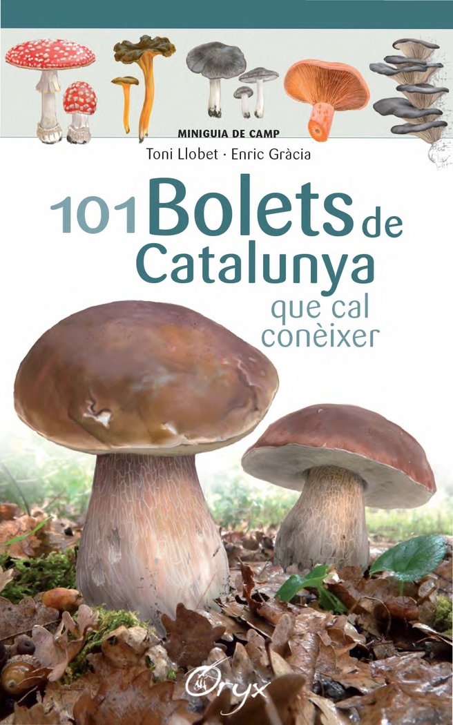 101 BOLETS DE CATALUNYA - 9788490347096 Imagen principal del producto