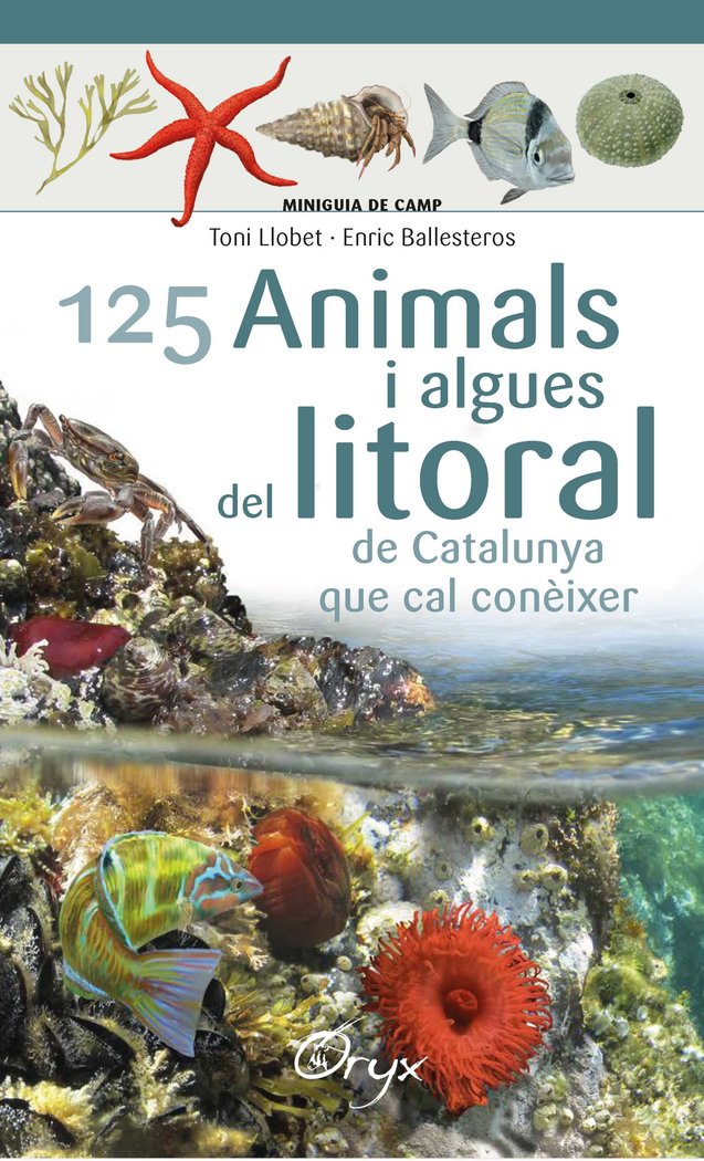 125 ANIMALS I ALGUES DEL LITORAL DE CATALUNYA - 9788490347416 Imagen principal del producto