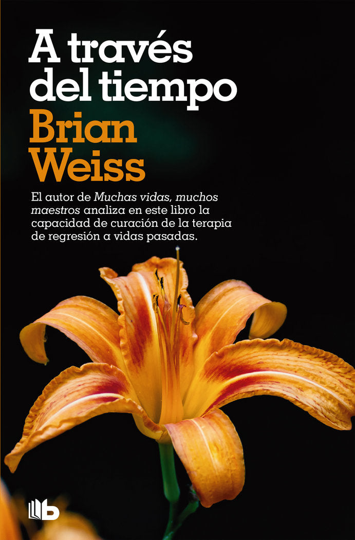 A TRAVES DEL TIEMPO | WEISS,BRIAN | B DE BOLSILLO | 9788490707500 Imagen principal del producto