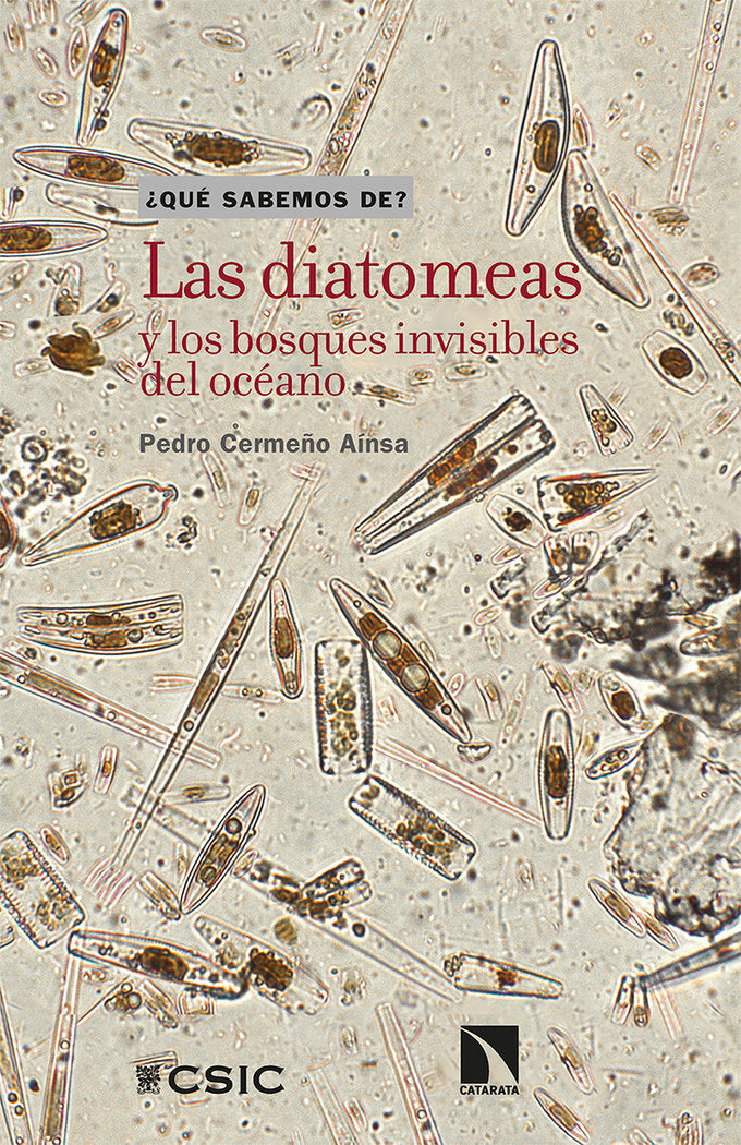 DIATOMEAS Y LOS BOSQUES INVISIBLES DEL OCEANOLAS - 9788490979730 Imagen principal del producto