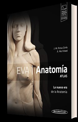 EVA ANATOMIA ATLAS - 9788491103431 Imagen principal del producto