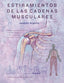 ESTIRAMIENTOS DE LAS CADENAS MUSCULARES - 9788491114840