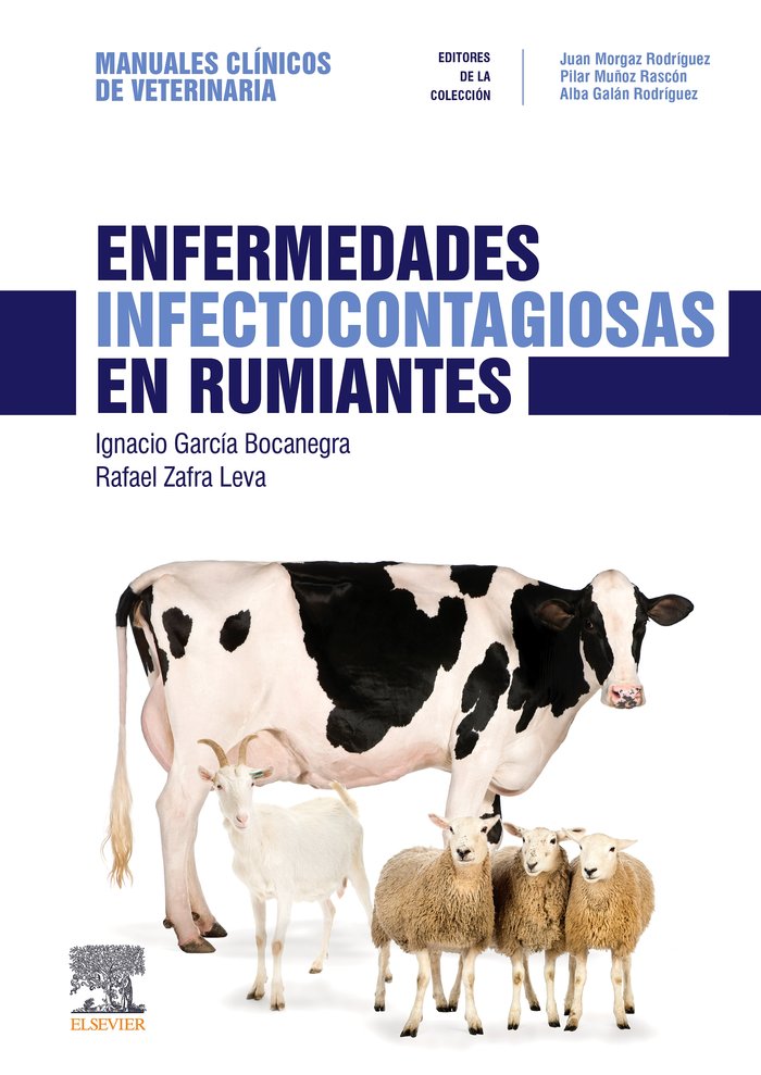 ENFERMEDADES INFECTOCONTAGIOSAS EN RUMIANTES - 9788491133537 Imagen principal del producto