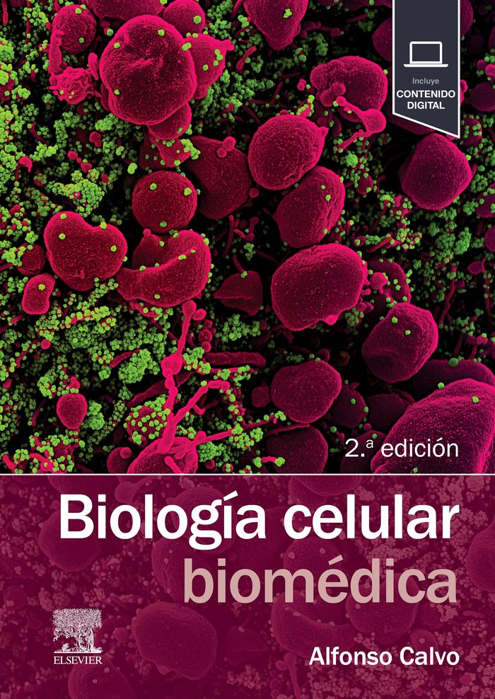 BIOLOGIA CELULAR BIOMEDICA - 9788491139591 Imagen principal del producto