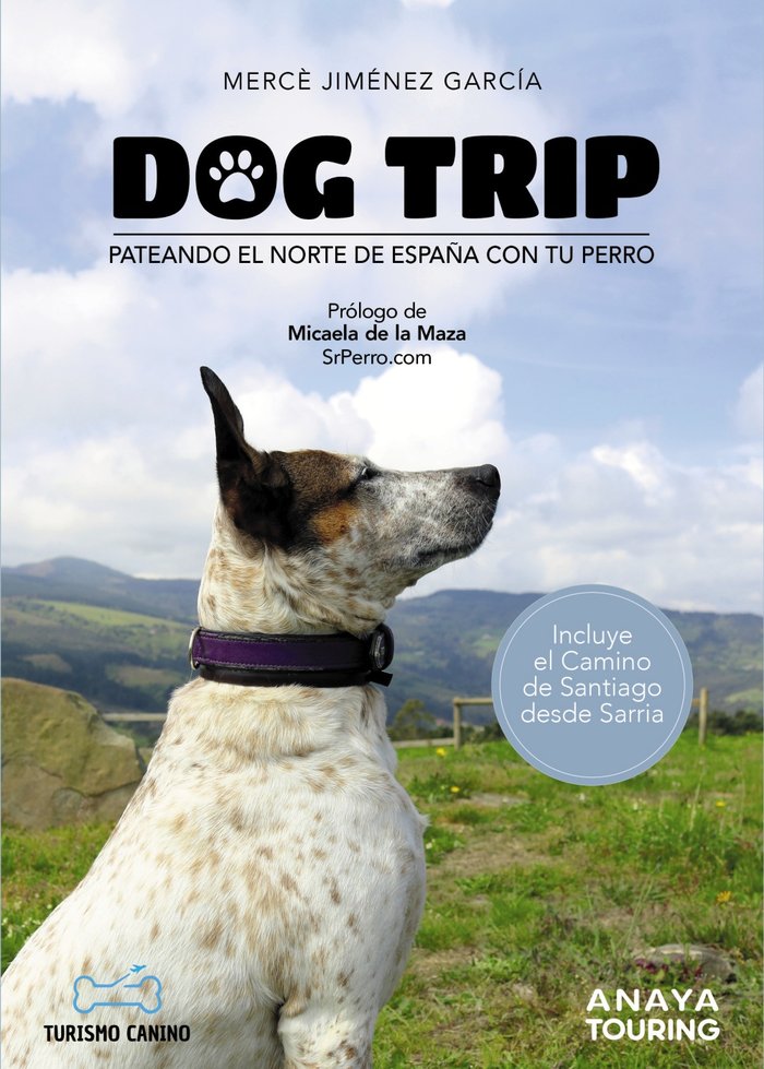 DOG TRIP PATEANDO EL NORTE DE ESPAÑA CON TU PERRO - 9788491584476 Imagen principal del producto