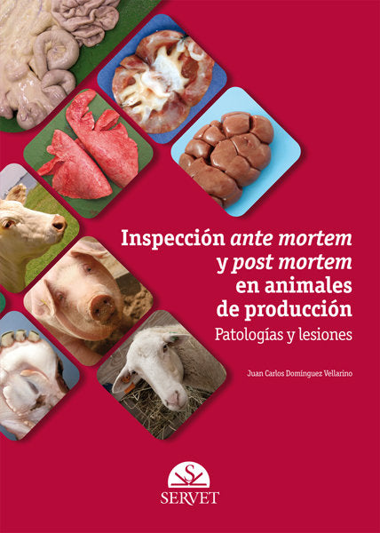 INSPECCION ANTE MORTEM Y POS MORTEM EN ANIMALES DE PRODUCCIO - 9788492569595