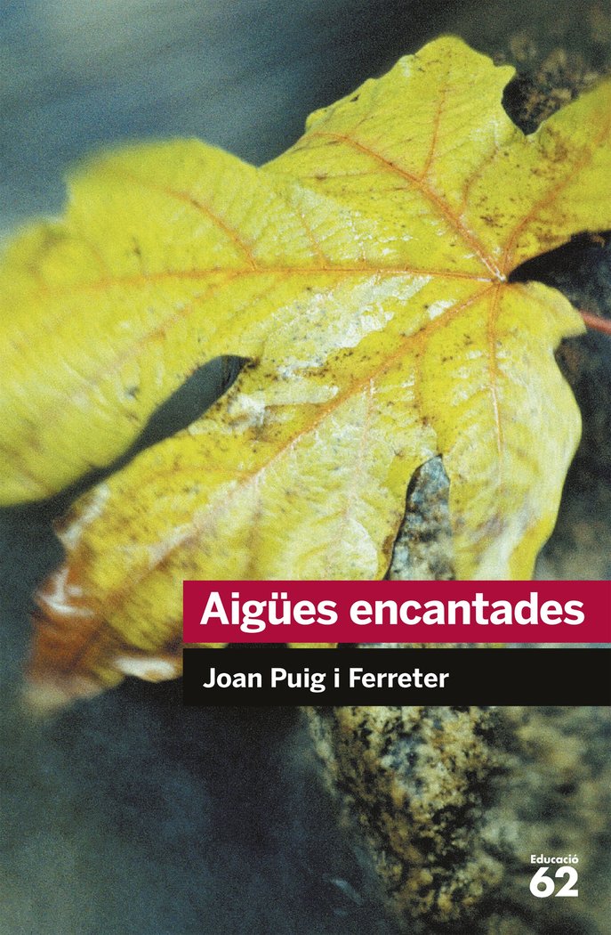 AIGÜES ENCANTADES | JOAN PUIG FERRETER | G62 EDUCAULA | 9788492672431 Imagen principal del producto