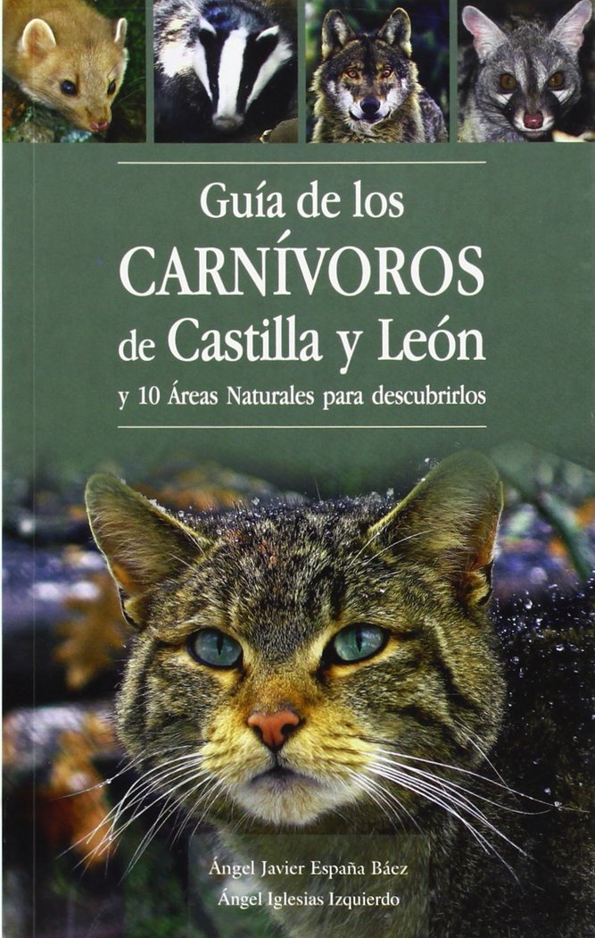GUIA DE LOS CARNIVOROS DE CASTILLA Y LEON - 9788494046308 Imagen principal del producto