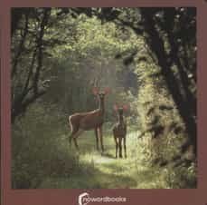 LOS ANIMALES DEL BOSQUE I Nowordbooks I Nowordbooks I 9788494174599 Imagen principal del producto
