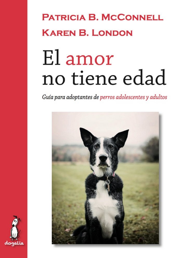 AMOR NO TIENE EDADEL - 9788494290022 Imagen principal del producto