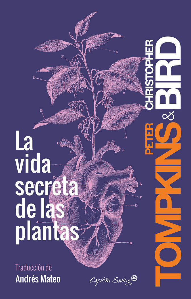 9788494548123 Imagen principal del producto