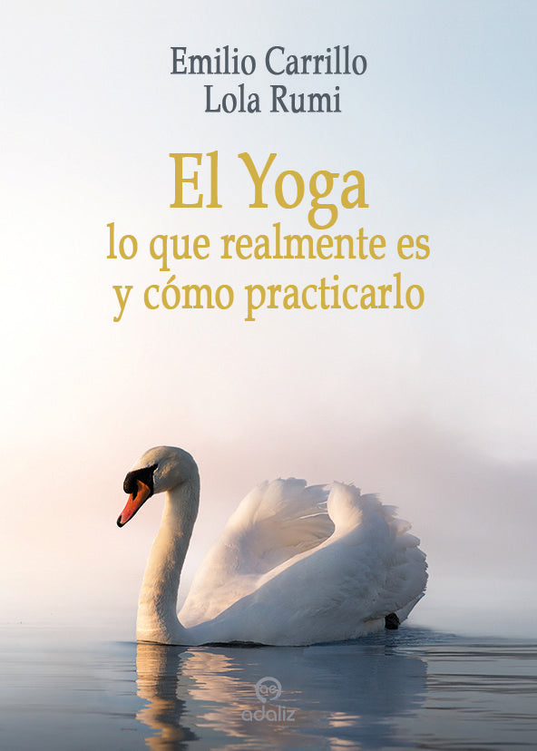 YOGA LO QUE REALMENTE ES Y COMO PRACTICARLOEL - 9788494968235