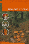 HONGOS Y SETAS - 9788495018977