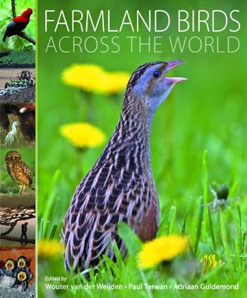 FARMLAND BIRDS ACROSS DE WORLD - 9788496553637 Imagen principal del producto