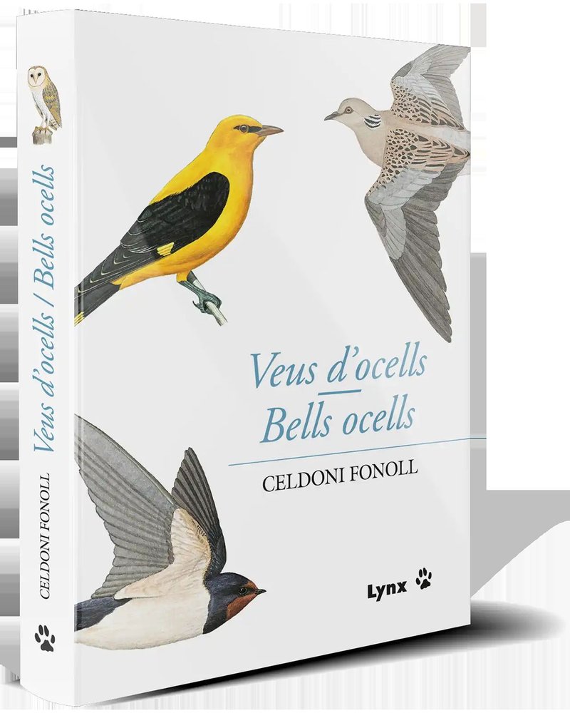 VEUS DOCELLSBELLS OCELLS - 9788496553767 Imagen principal del producto