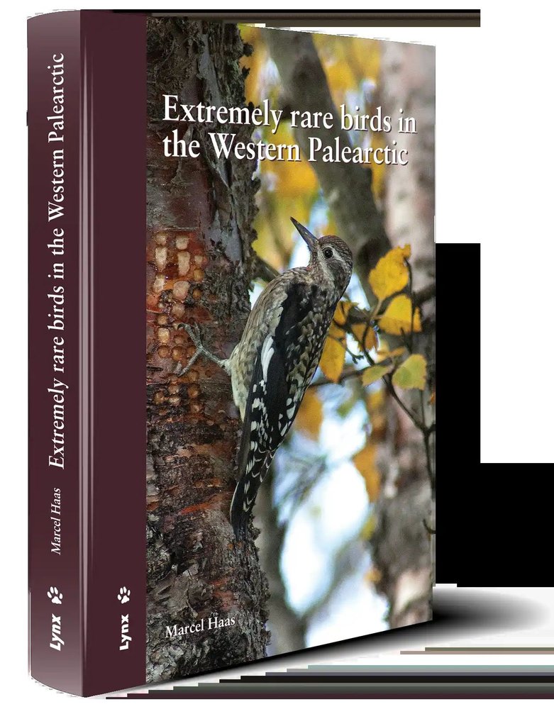 EXTREMELY RARE BIRDS IN THE WESTERN PALEARCTIC - 9788496553835 Imagen principal del producto