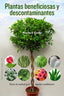 PLANTAS BENEFICIOSAS Y DESCONTAMINANTES - 9788497779319