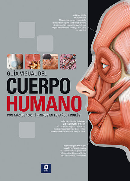 GUIA VISUAL DEL CUERPO HUMANO - 9788497945233 Imagen principal del producto