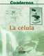 Cuaderno Biología Geología Celula ECIBYG49NB (Ecir) - 9788498260397