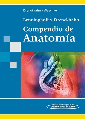 COMPENDIO DE ANATOMIA - 9788498352016 Imagen principal del producto