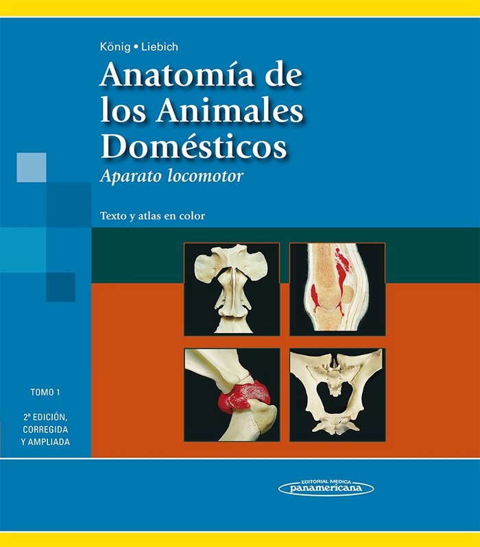 ANATOMIA DE LOS ANIMALES DOMESTICOS TOMO I APARATO LOCOMOTO - 9788498354706 Imagen principal del producto