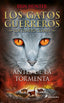 GATOS GUERREROS 4 ANTES DE LA TORMENTA | Hunter,erin | 9788498385335 (Salamandra infantil y juvenil)