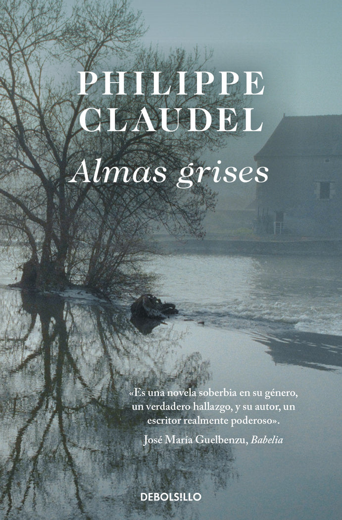 ALMAS GRISES - 9788498387872 Imagen principal del producto