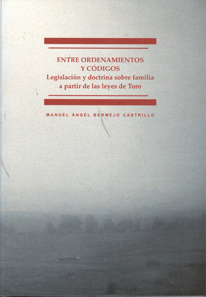 ENTRE ORDENAMIENTOS Y CODIGOS - 9788498498363 Imagen principal del producto