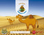 ¡DESIERTO A LA VISTA! NIVEL 1, 1 TRIMESTRE, EXPLORA | Varios Autores | 9788498546408 (Xerme Sm)