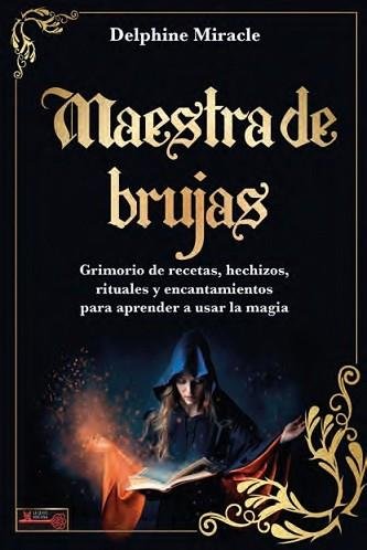 MAESTRA DE BRUJAS I Delphine Miracle I Robinbook I 9788499177328