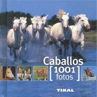 CABALLOS - 9788499280875 Imagen principal del producto