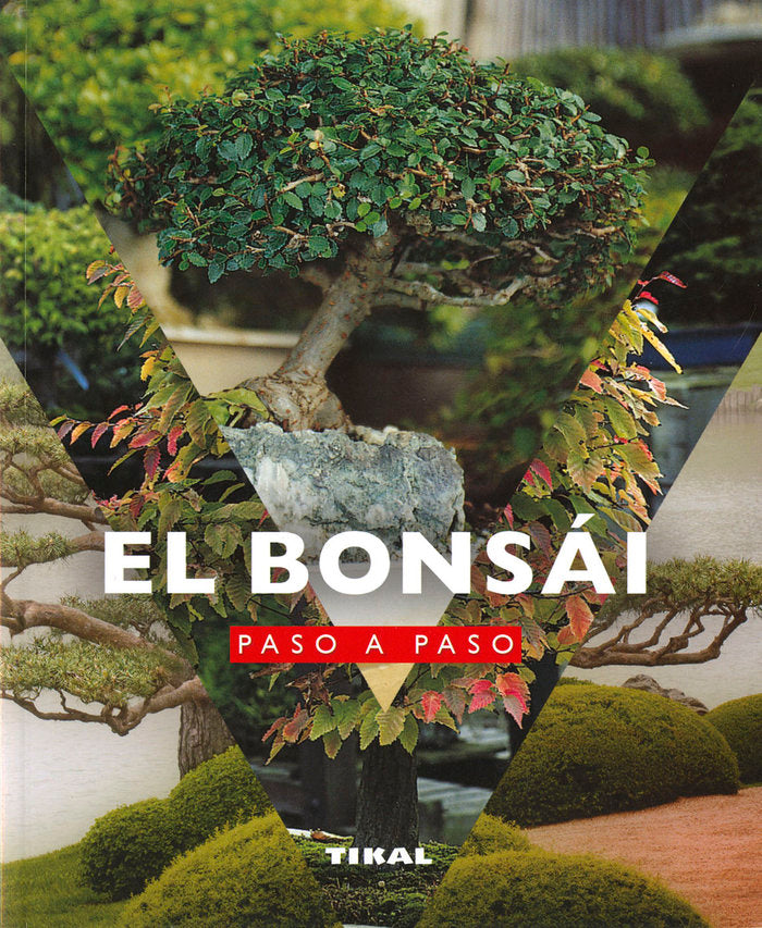 EL BONSAI PASO A PASO - 9788499285085 Imagen principal del producto