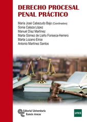 DERECHO PROCESAL PENAL PRACTICO - 9788499614311