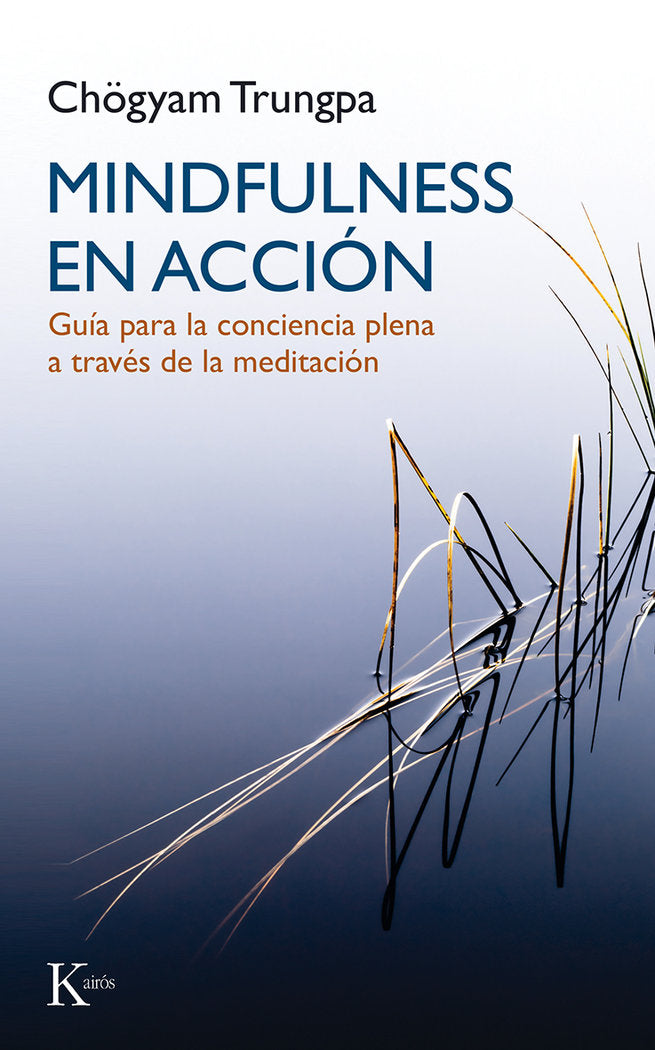 MINDFULNESS EN ACCION - 9788499884899 Imagen principal del producto