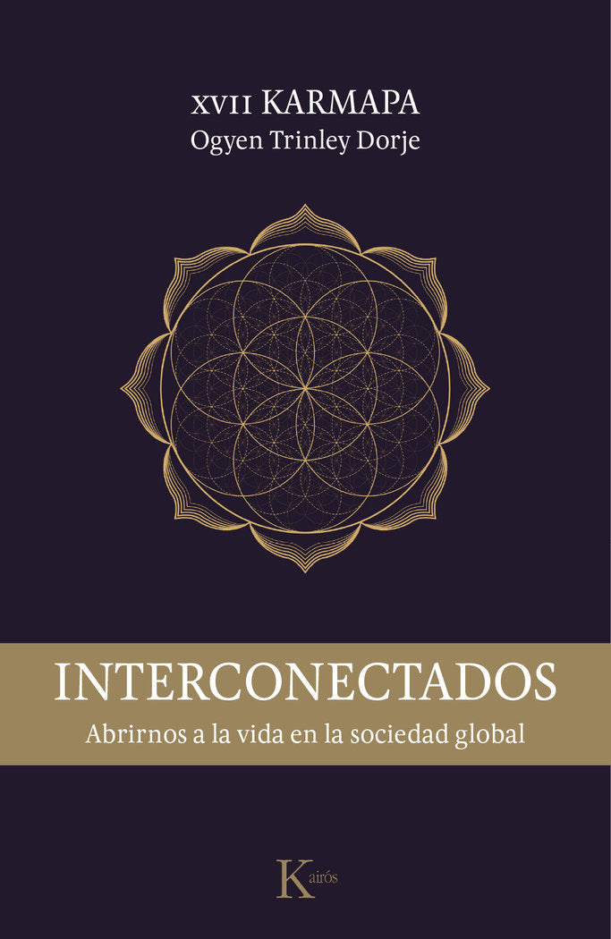 INTERCONECTADOS - 9788499885759 Imagen principal del producto