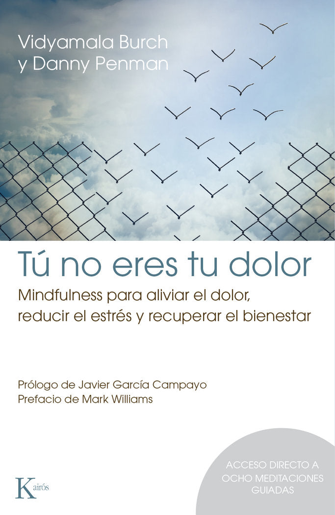 TU NO ERES TU DOLOR - 9788499886152