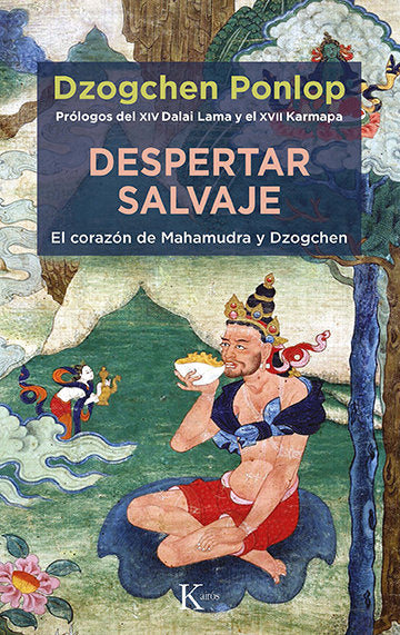 DESPERTAR SALVAJE - 9788499889191 Imagen principal del producto
