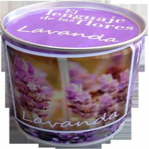SEMILLAS LAVANDA | MAGAZZINI SALANI | 1 UNIDAD | 9788862129718 Imagen principal del producto