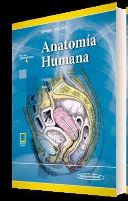 LATARJET ANATOMIA HUMANA 5ED T2 E - 9789500695855 Imagen principal del producto