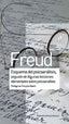 ESQUEMA DEL PSICOANALISIS SEGUIDO DE ALGUNAS LECCIONES ELEM | FREUD,SIGMUND | AMORRORTU EDITORES S,A, | 9789505188512