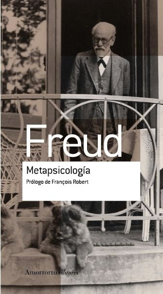 METAPSICOLOGIA - 9789505188666 Imagen principal del producto