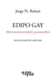 EDIPO GAY HETERONORMAILIDAD Y PSICOANALISIS SEGUNDA EDICION - 9789506498740
