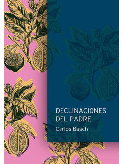 DECLINACIONES DEL PADRE - 9789874816733