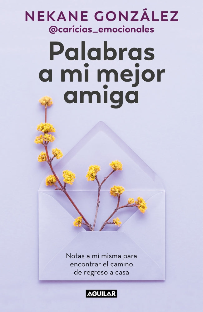 Palabras a mi mejor amiga: Notas a mí misma para encontrar el camino de regreso a casa Imagen principal del producto