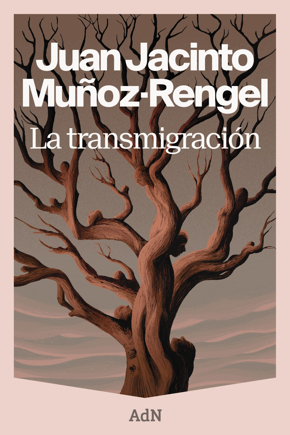 La transmigración. Juan Jacinto Muñoz-Rengel (AdN Editorial Grupo Anaya) 9788410138964 Imagen principal del producto