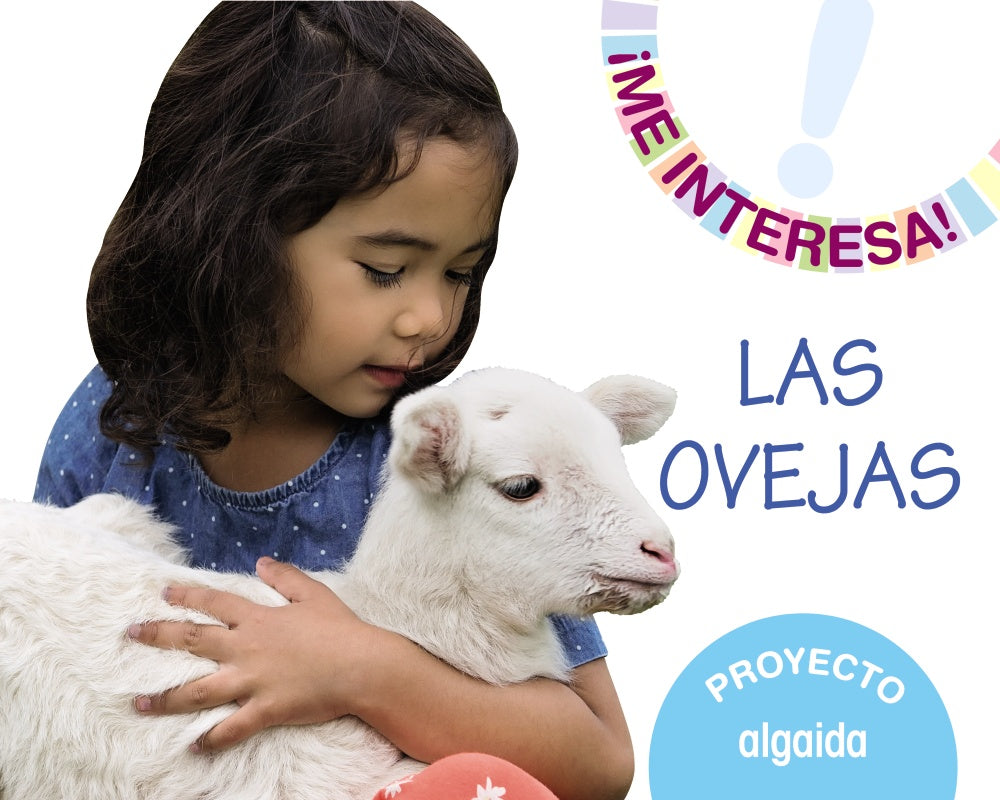 Proyecto "Las ovejas" Imagen principal del producto